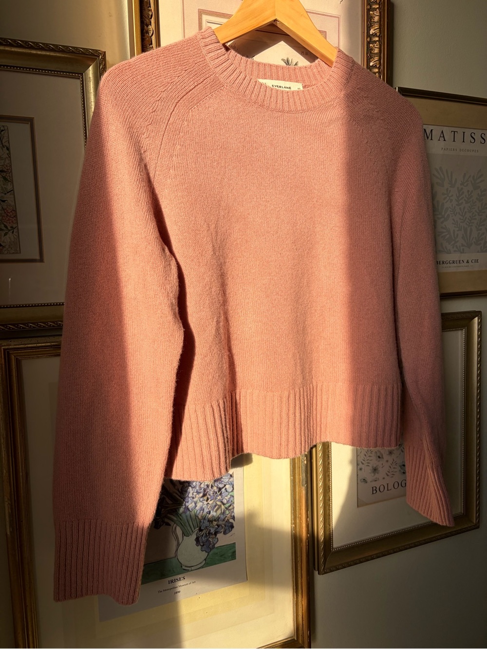 Everlane The Boxy Crew in Cashmere Clay Pink XL - Picture 10 of 13